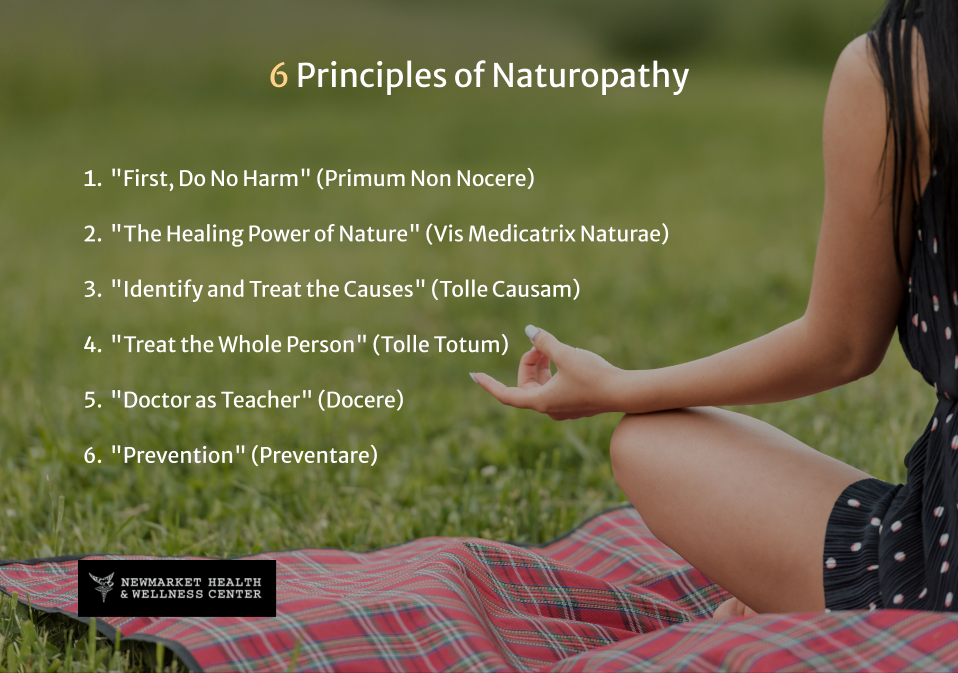 6 Principles of Naturopathy